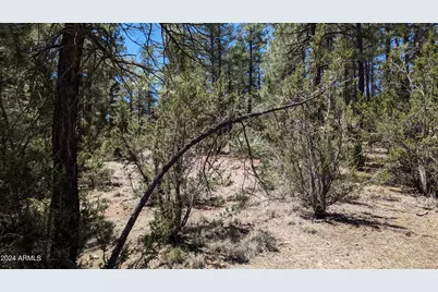 2968 Constellation Lane #-, Overgaard, AZ 85933 - Photo 10