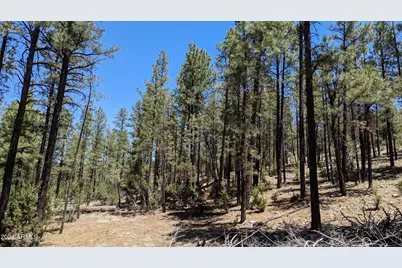 2968 Constellation Lane #-, Overgaard, AZ 85933 - Photo 2