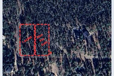 2968 Constellation Lane #-, Overgaard, AZ 85933 - Photo 1