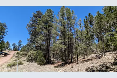 2968 Constellation 028 Lane #-, Overgaard, AZ 85933 - Photo 6
