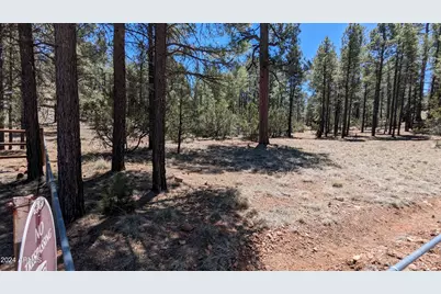 2968 Constellation 028 Lane #-, Overgaard, AZ 85933 - Photo 14