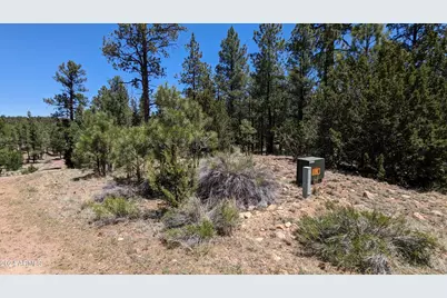 2968 Constellation 028 Lane #-, Overgaard, AZ 85933 - Photo 12