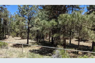 2968 Constellation Lane #-, Overgaard, AZ 85933 - Photo 4