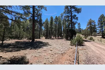 2968 Constellation Lane #-, Overgaard, AZ 85933 - Photo 16