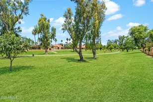 8150 E Appaloosa Trail, Scottsdale, AZ 85258 - Photo 48