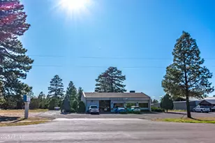 2353 Quarter Horse Trl, Overgaard, AZ 85933 - Photo 142