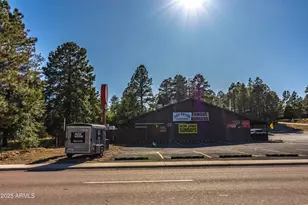 2353 Quarter Horse Trl, Overgaard, AZ 85933 - Photo 146