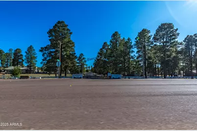 2353 Quarter Horse Trail #238, Overgaard, AZ 85933 - Photo 136