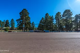 2353 Quarter Horse Trl, Overgaard, AZ 85933 - Photo 136