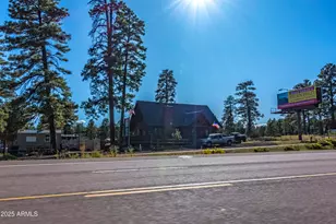 2353 Quarter Horse Trl, Overgaard, AZ 85933 - Photo 138