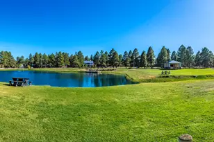 2353 Quarter Horse Trl, Overgaard, AZ 85933 - Photo 118