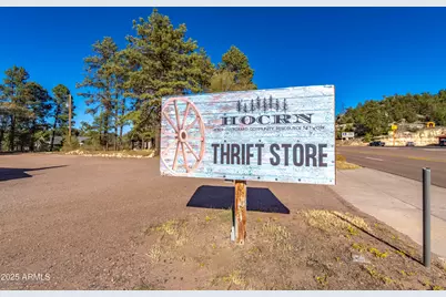 2353 Quarter Horse Trail #238, Overgaard, AZ 85933 - Photo 156