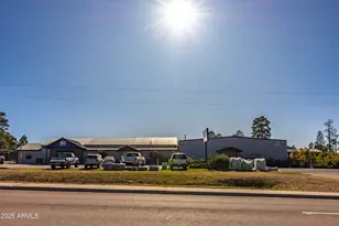 2353 Quarter Horse Trl, Overgaard, AZ 85933 - Photo 144