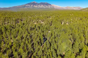 2750 W Forest Hills Dr, Flagstaff, AZ 86001 - Photo 112