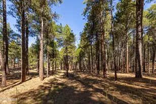 2750 W Forest Hills Dr, Flagstaff, AZ 86001 - Photo 86