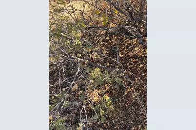 8565 S Donegal Drive #266, Kirkland, AZ 86332 - Photo 20