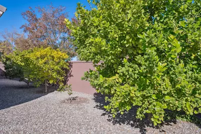 401 W Basswood Avenue, San Tan Valley, AZ 85140 - Photo 42