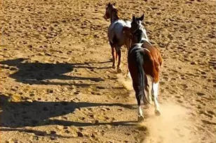 32905 N 140th St, Scottsdale, AZ 85262 - Photo 10