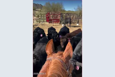 32905 N 140th Street, Scottsdale, AZ 85262 - Photo 120