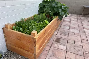 4414 S Terrace Rd, Tempe, AZ 85282 - Photo 38