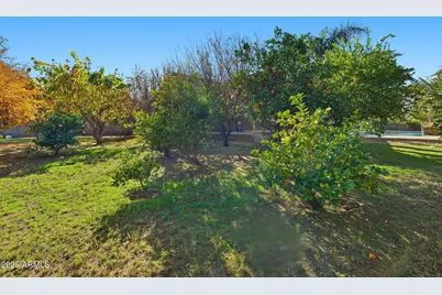 2218 E Brooks Farm Road, Gilbert, AZ 85298 - Photo 50