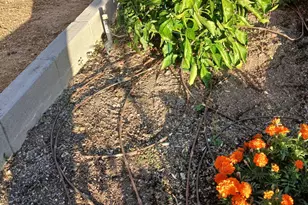 8906 N 102nd Ln, Peoria, AZ 85345 - Photo 36