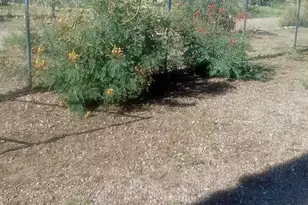 5135 E Muheim St, Hereford, AZ 85615 - Photo 24