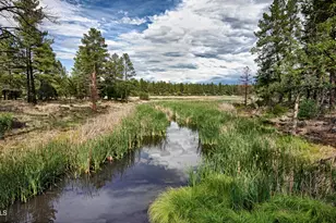 345 W Yavapai Ln, Pinetop-Lakeside, AZ 85929 - Photo 28