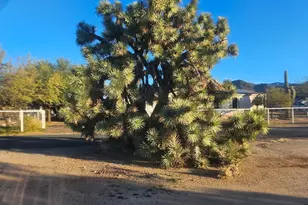 22855 W Sunset Ln, Congress, AZ 85332 - Photo 6