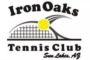 25236 S Flame Tree Dr, Sun Lakes, AZ 85248 - Photo 76