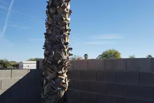 45333 W Sage Brush Dr, Maricopa, AZ 85139 - Photo 28