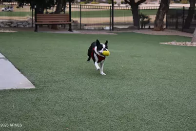 16421 W Desert Wren Court, Surprise, AZ 85374 - Photo 42