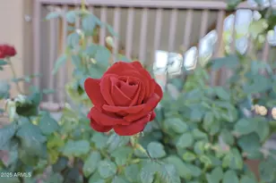 20800 E Tara Springs Rd, Black Canyon City, AZ 85324 - Photo 30