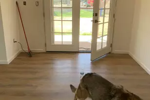 2636 E Tonto Ln, Phoenix, AZ 85050 - Photo 8