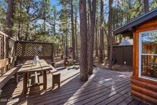 199 W Mockingbird Ln, Payson, AZ 85541 - Photo 24