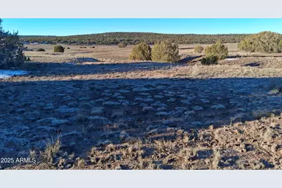 86 County Rd 8227 -- #-, Concho, AZ 85924 - Photo 10