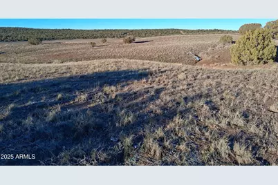 86 County Rd 8227 -- #-, Concho, AZ 85924 - Photo 14