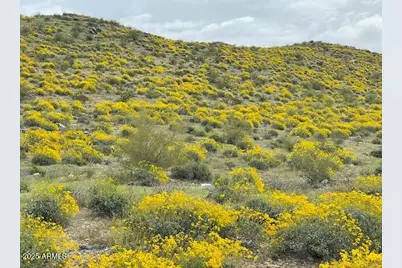 7539 W Wardance Circle #-, Queen Creek, AZ 85144 - Photo 10