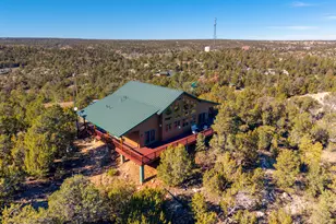 3651 Zane Grey Trl, Overgaard, AZ 85933 - Photo 34