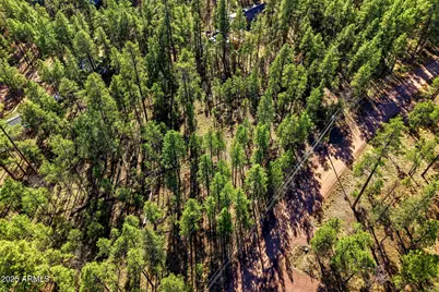 20 Co Rd 2067 -- #114, Alpine, AZ 85920 - Photo 12