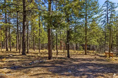 20 Co Rd 2067 -- #114, Alpine, AZ 85920 - Photo 1