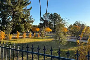 704 E Mesquite Ave, Gilbert, AZ 85296 - Photo 6