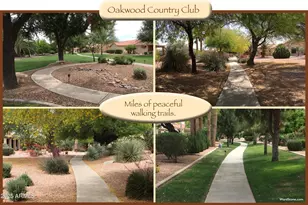 9011 E Diamond Dr, Sun Lakes, AZ 85248 - Photo 54