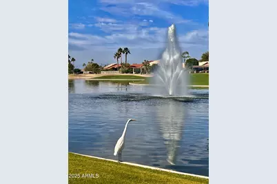23729 S Pleasant Way #37, Sun Lakes, AZ 85248 - Photo 48