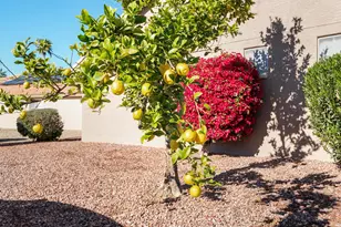 3932 N 151st Dr, Goodyear, AZ 85395 - Photo 54