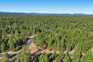 3738 Apache Dr, Happy Jack, AZ 86024 - Photo 42