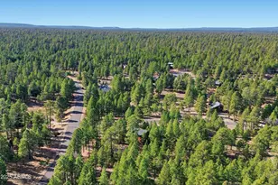 3738 Apache Dr, Happy Jack, AZ 86024 - Photo 44