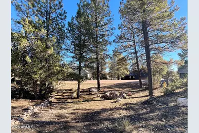 2240 Fairway Drive, Overgaard, AZ 85933 - Photo 48