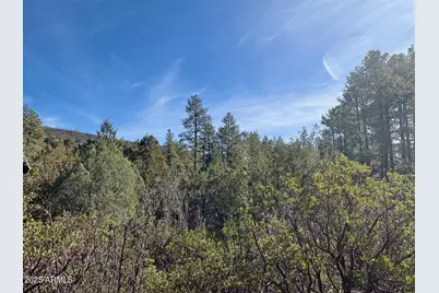 19 N Elk Rub Lane #19, Pine, AZ 85544 - Photo 4