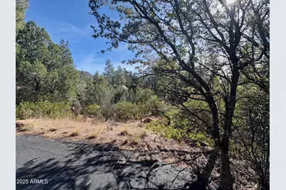 19 N Elk Rub Lane #19, Pine, AZ 85544 - Photo 2